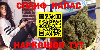 мдпв Партизанск